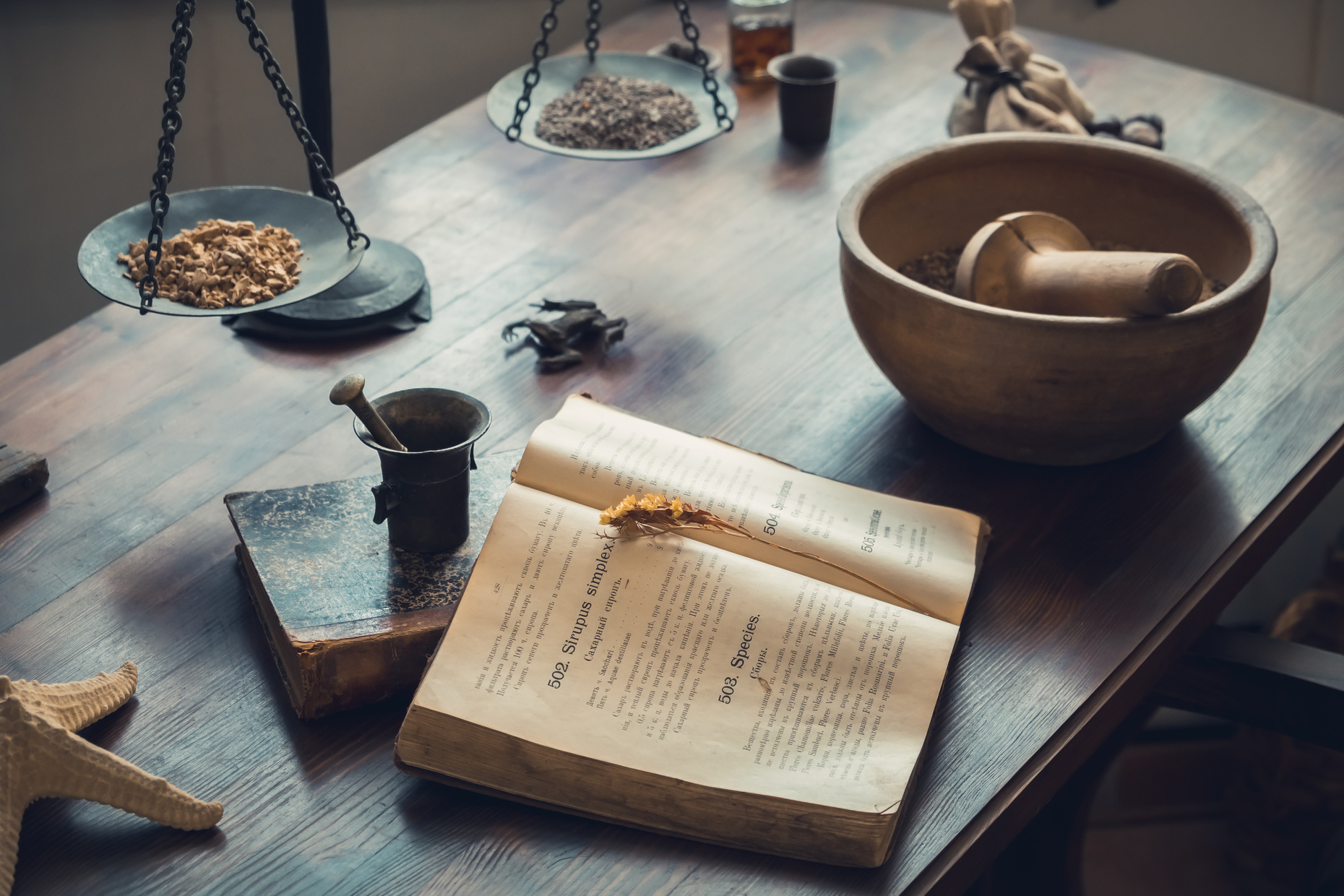Apothecary Work Table with Herbal Medicine